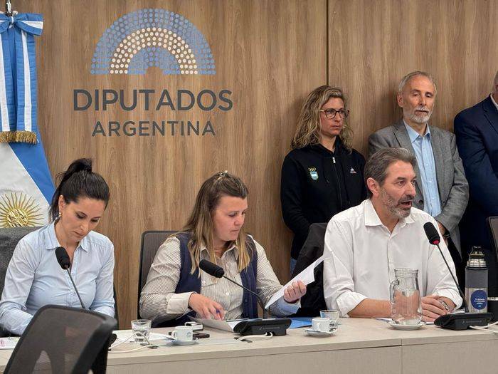 La Cámara de diputados impulsa proyecto que busca la restitución de la autonomía del ENARD