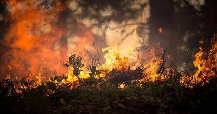 City of Pocatello receives $4.84M grant for wildfire risk reduction