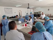 Boyacá continúa actuando contra la Enfermedad de Chagas