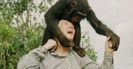Jane Goodall's cause of death confirmed weeks after she died at 91