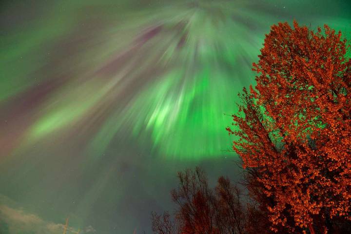 How to Watch the Northern Lights Tonight
