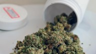 Authorities urged to crack down on medicinal cannabis scripts after surge in hospitalisations