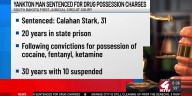 Southeast South Dakota man sentenced for drug charges