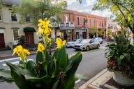 Slippery Rock stands out as an island of growth
