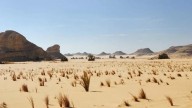 El rol clave de la arena del desierto del Sahara en la fertilización del océano Atlántico y el Amazonas
