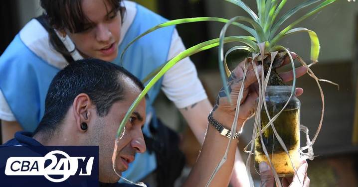 Dengue: nuevos mapas focalizan los sectores con más riesgo de circulación en la ciudad de Córdoba