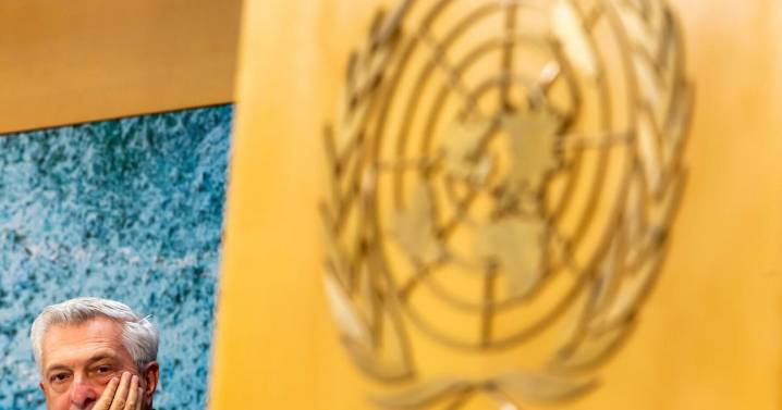 Jefe de ACNUR sugiere que prácticas de deportación de EEUU violan la ley
