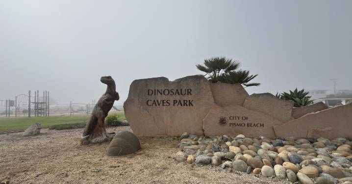 Dinosaur Caves Park succulent garden getting a facelift thanks to local woman's donation