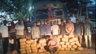 Telangana’s EAGLE team seizes 500 kg of ganja in Jharkhand