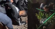 VIDEOS: ¡Atrapados como ratas! Sujetos tratan de robar a mujer en camioneta y ella los atropella en Brasil