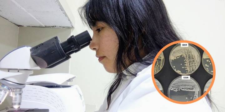 Investigadora peruana desarrolla alternativa sostenible para la desalinización parcial del agua utilizando bacterias