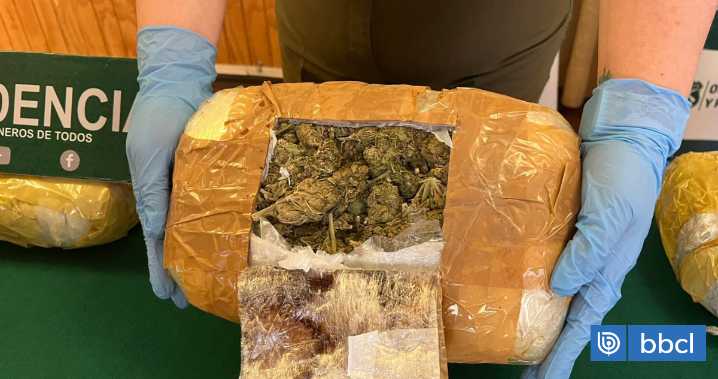 Control a bus con destino a Puerto Montt termina con 32 kilos de droga incautada y mujer detenida