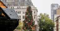 Too soon? Residents fume about Christmas tree erected in October
