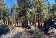 Hundreds of Tahoe trees to be removed for 'glamping'