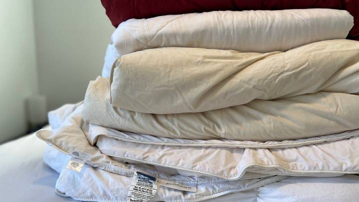 Best Comforters for 2025: Refresh Your Bedding for Spring With These 8 Options