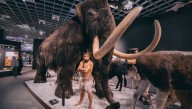 Technology, Tactics, Or Just Toughing It Out: How Exactly Did Neanderthals Take Down Mammoths, Anyway?