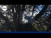 Hunting stand discovered near Air Force One