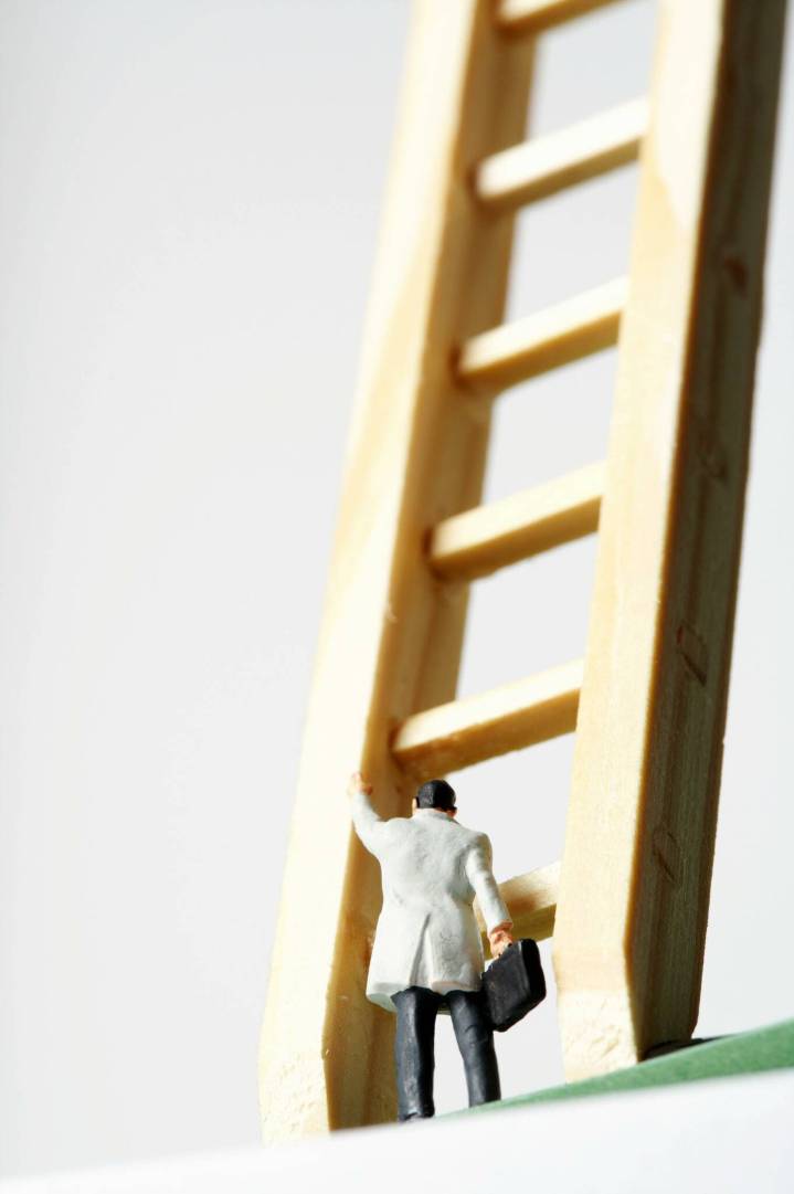 Career pathing in  flat organization:  growing without climbing