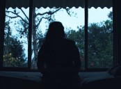 La película colombiana Wakani; el espíritu del bosque, llega a la cartelera nacional