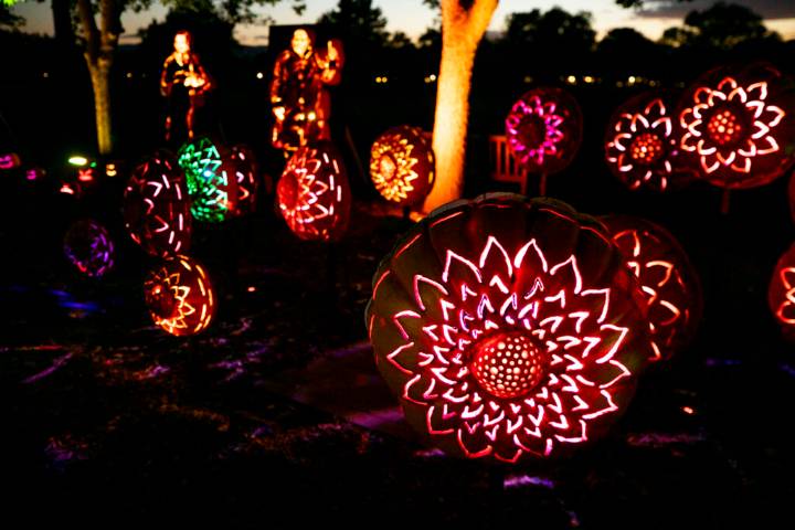 Things to do in Denver this weekend, Oct. 3