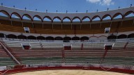 Roca Rey, jóvenes mexicanos y una amplia nómina de toreros españoles, anunciados en Guadalajara