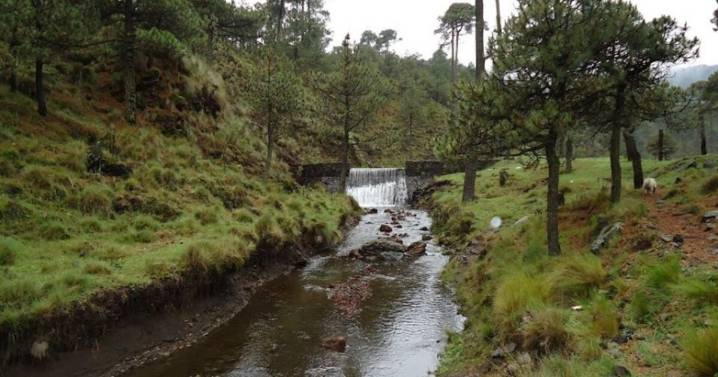 De parque ecológico a foco rojo: aumentan las desapariciones en el Ajusco, CDMX