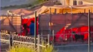Perros Presuntamente Maltratados en Hotel de Mascotas son Entregados a sus Dueños en Hermosillo
