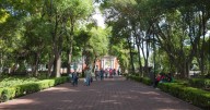 Querétaro enfrenta déficit de áreas verdes por crecimiento urbano: Enrique Uribarren