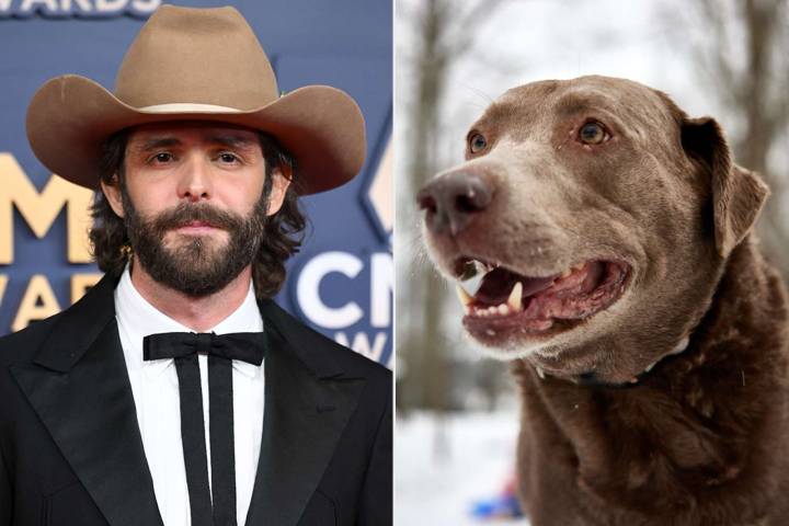 Thomas Rhett Shares News of Dog Cash's Death in Touching Tribute