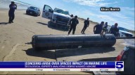 Autopsy ordered after dolphin turns up dead...