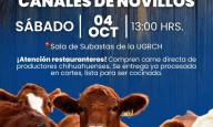 Chihuahua impulsa el consumo local de carne de calidad con Subasta de Canales de Novillo Gordo
