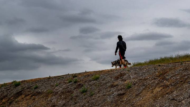 It can affect people and dogs, Valley fever is on the rise in the Bay Area