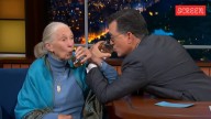 When Jane Goodall toasted to saving the planet with Stephen Colbert, and compared chimpanzees to a certain politician