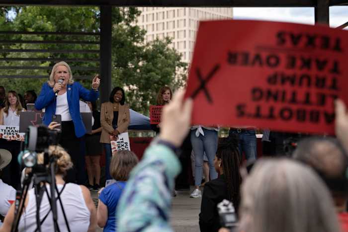 This newly drawn Houston district could unearth tensions between Democrats of color