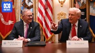 Federal politics live: Trump's Rudd sledge 'just some banter,' Albanese says