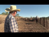 Arizona ranchers push back against Trump's beef import comments
