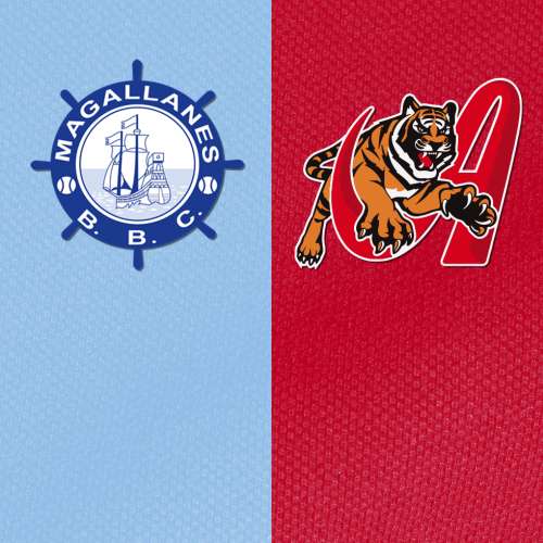 Resumen Magallanes vs Tigres