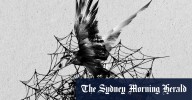 Plastic spider webs: How Halloween decorations harm Australian birds