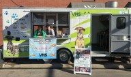 VHS Says This Year's Fall Festival Was The Best Yet
