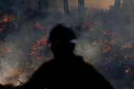 Why is the Albany Pine Bush on Fire?