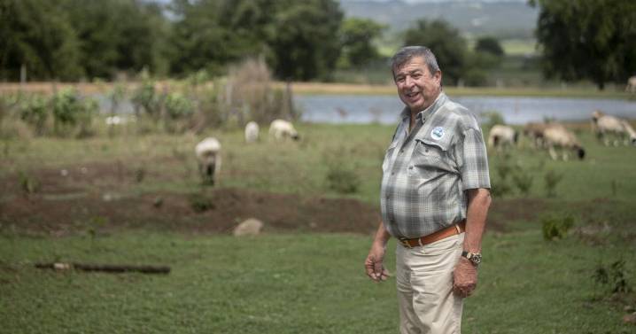 [VIDEO] Del casco a la finca: ingeniero apuesta por la producción local de carne de cordero