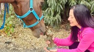 "Duque", el caballo terapeuta