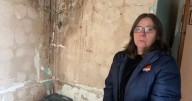Scots mum 'living a nightmare' unable to return to mouldy home after two years