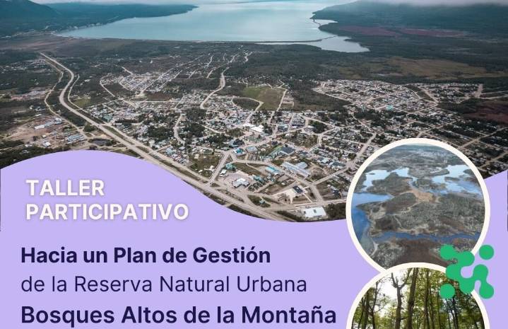 Proyectan desarrollo de la...