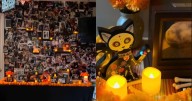 VIDEOS: Veterinaria en EU pone ofrenda de Día de Muertos para mascotas y se vuelve viral
