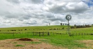 Renton East quality prime lamb farming near Wagga Wagga