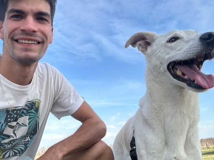 Inventó un remís para mascotas y ahora tiene una flota que lleva perros y gatos por todo el país