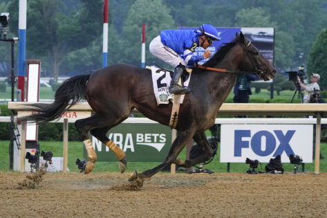 What Happened to Sovereignty? Health Update Ahead of Breeders Cup