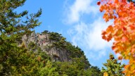National Parks ordered to stay open during shutdown