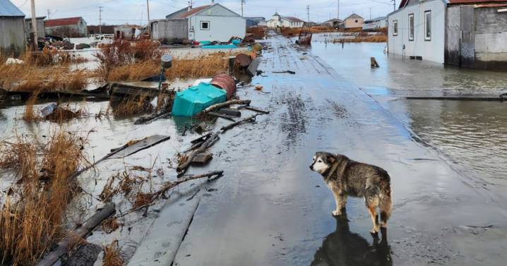 Homes swept away, 1 person killed after remnants of typhoon cause severe flooding in Alaska